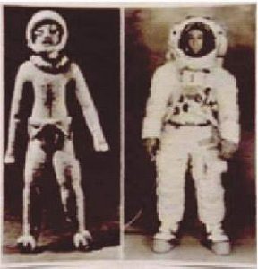 14b) porovnanie sošky a astronauta